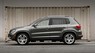 Volkswagen Tiguan 2016 - Dòng xe gầm cao SUV Volkswagen Tiguan 2016, màu xám, nhập khẩu nguyên chiếc Đức