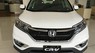 Honda CR V 2.4 2016 - Honda CR-V 2.4 AT 2016 màu trắng giá tốt nhất, hổ trợ cho vay lên đến 80% giá trị xe - chi tiết liên hệ SDT: 0908722988