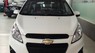 Chevrolet Spark DUO  2017 - Chevrolet Spark DUO 2017 giá rẻ chính hãng tại Đại lý Chevrolet Giải Phóng