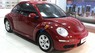 Volkswagen Beetle  2.0 AT 2009 - Bán xe Volkswagen Beetle New 2.0 AT đời 2009, màu đỏ, nhập khẩu Đức