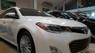 Toyota Avalon Limited While 2015 - Toyota Avalon Hybrid 2016 Limited While nhập Mỹ