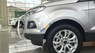 Ford EcoSport Titatium 2017 - Bán xe Ford EcoSport Titatium sản xuất 2017, đủ mầu giao ngay