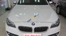 BMW 5 Series 520i 2015 - BMW 520i sản xuất 2015 màu trắng