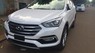 Hyundai Santa Fe   2017 - Cần bán Hyundai Santa Fe sản xuất 2017, màu trắng
