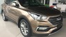 Hyundai Santa Fe   2017 - Cần bán Hyundai Santa Fe đời 2017, màu nâu