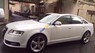 Audi A6  2.0T  2009 - Cần bán gấp Audi A6 2.0T sản xuất 2009, màu trắng, xe nhập số tự động