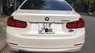 BMW 3 Series 320i 2014 - Cần bán BMW 3 Series 320i đời 2014, màu bạc xe gia đình