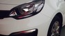Kia Rio 2018 - Bán ô tô Kia Rio đời 2018, màu trắng, nhập khẩu giá cạnh tranh