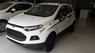 Ford EcoSport Titanium  2016 - Cần bán xe Ford EcoSport Titanium sản xuất 2016, màu trắng, giá tốt