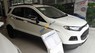 Ford EcoSport Titanium  2016 - Cần bán xe Ford EcoSport Titanium sản xuất 2016, màu trắng, giá tốt
