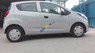 Chevrolet Spark Duo Van 1.2L MT 2016 - Bán Chevrolet Spark Duo Van 1.2L MT đời 2016, màu bạc  