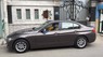 BMW 3 Series 320i 2014 - Cần bán xe BMW 3 Series 320i đời 2014, màu nâu, nhập khẩu chính hãng