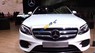 Mercedes-Benz E300 AMG 2016 - Bán Mercedes E300 AMG mẫu 2017, màu trắng, nhập khẩu, giao ngay,khuyến mãi cực lớn nhân dịp Motor Show từ 27-31/10