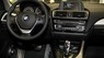 BMW 1 Series 118i 2016 - Bán xe BMW 1 Series 118i đời 2016, màu đỏ, nhập khẩu nguyên chiếc