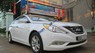 Hyundai Sonata Y20 2010 - Cần bán xe Hyundai Sonata Y20 sản xuất 2010, màu trắng, xe nhập chính chủ