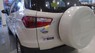 Ford EcoSport Titanium  2016 - Bán Ford EcoSport Titanium năm 2016, màu trắng  