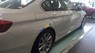 BMW 5 Series 520i 2016 - Bán BMW 520i đời 2016, xe nhập khẩu