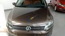 Volkswagen Polo 1.6L 6AT 2015 - Bán xe Volkswagen Polo 1.6L 6AT 2015, màu nâu, nhập khẩu nguyên chiếc