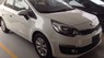 Kia Rio  MT 2016 - Bán Kia Rio mới 100%, xe nhập khẩu màu trắng, LH đại lý Kia 0902.230.366
