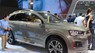 Chevrolet Captiva LTZ 2016 - Chevrolet Captiva nâu hoàng kim, giá cực tốt, HT Vay 85% giá xe
