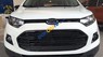 Ford EcoSport Titanium 2016 - Bán ô tô Ford EcoSport Titanium đời 2016, màu trắng, giá cạnh tranh