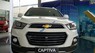 Chevrolet Captiva 2016 - Cần bán Chevrolet Captiva đời 2016, màu trắng, giá tốt