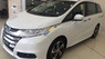 Honda Odyssey 2016 - Bán xe Honda Odyssey sản xuất năm 2016, màu trắng, xe nhập