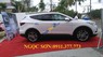 Hyundai Santa Fe 2016 - Bán ô tô Hyundai Santa Fe mới đời 2017, màu trắng - LH Ngọc Sơn: 0911.377.773