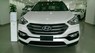 Hyundai Santa Fe 2016 - Cần bán Hyundai Santa Fe năm 2016, nhập khẩu