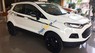 Ford EcoSport 1.5 AT Titanium 2016 - Ford Ecosport 1.5 AT Titanium màu trắng. Hỗ trợ mua xe Ford Ecosport 1.5 AT Titanium trả góp