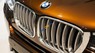 BMW X3 xDrive 20i 2016 - Bán BMW X3 xDrive 20i năm 2016, màu nâu, nhập khẩu nguyên chiếc