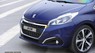 Peugeot 208 Facelift 2016 - Bán ô tô Peugeot 208 Facelift đời 2016, nhập khẩu, 895 triệu