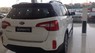 Kia Sorento 2016 - Cần bán xe Kia Sorento đời 2016, màu trắng, 825 triệu