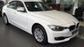 BMW 2017 - Ban xe BMW 320 nhập khẩu nguyên chiếc mới nhất