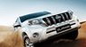 Toyota Land Cruiser Prado TX-L 2016 - Bán Toyota Land Cruiser Prado TX-L sản xuất 2016, màu trắng, xe nhập