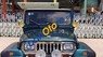 Jeep Wrangler 1995 - Cần bán gấp Jeep Wrangler sản xuất năm 1995, nhập khẩu nguyên chiếc