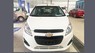 Chevrolet Spark Van 2017 - Chevrolet Spark Van Duo bản mới đẹp, 279tr + đang ưu dãi lớn, LH: 0907 590 853 Trần Sơn