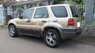 Ford Escape 2002 - Bán ô tô Ford Escape sản xuất 2002, màu vàng chính chủ