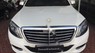 Mercedes-Benz S class S500L 2016 - Xe Mercedes S500L sản xuất năm 2016, màu trắng