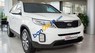 Kia Sorento GAT 2017 - Cần bán Kia Sorento GAT sản xuất 2017, màu trắng