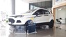 Ford EcoSport 1.5L MT Trend  2016 - Ford Ecosport giao ngay Thái Nguyên, đủ màu, hỗ trợ trả góp 80% 6 năm, LH: 0963483132