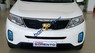 Kia Sorento GAT 2017 - Cần bán Kia Sorento GAT sản xuất 2017, màu trắng