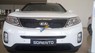 Kia Sorento GAT 2017 - Cần bán Kia Sorento GAT sản xuất 2017, màu trắng