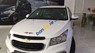 Chevrolet Cruze   LT My16  2016 - Bán xe Chevrolet Cruze LT My16 sản xuất năm 2016, màu trắng