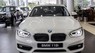 BMW 1 Series 118i 2016 - Bán BMW 118i sản xuất 2016, xe mới, xe trang bị đầy đủ các chức năng