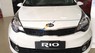 Kia Rio 2016 - Bán ô tô Kia Rio năm sản xuất 2016, màu trắng, xe nhập