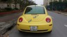 Volkswagen Beetle 2.5 2007 - Bán xe Volkswagen Beetle 2.5 năm sản xuất 2007, màu vàng