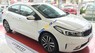 Kia Cerato 2.0 AT 2017 - Bán ô tô Kia Cerato 2.0 AT năm sản xuất 2017, màu trắng, giá chỉ 696 triệu