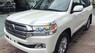 Toyota Land Cruiser 2016 - Bán Toyota Land Cruiser sản xuất năm 2016, màu trắng, xe nhập