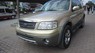 Ford Escape 2005 - Cần bán xe Ford Escape 2005, màu vàng